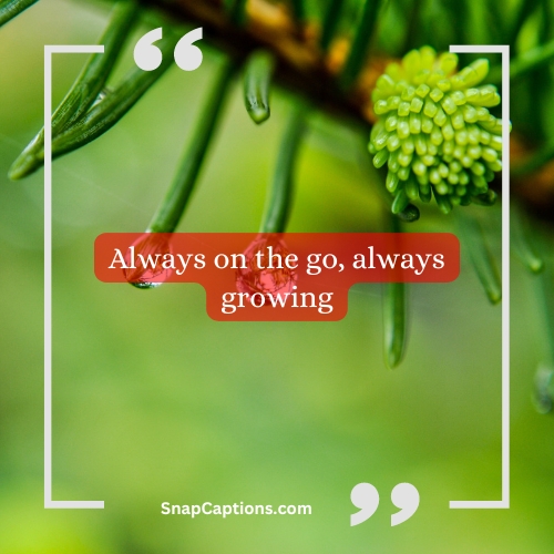 200+ Thursday Captions For Instagram That Spark Joy and Creativity 3 Instagram Captions 10