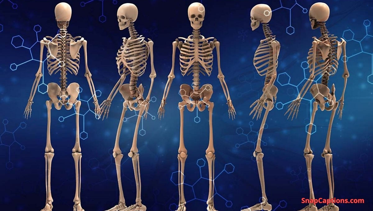 Skeleton Captions For Instagram