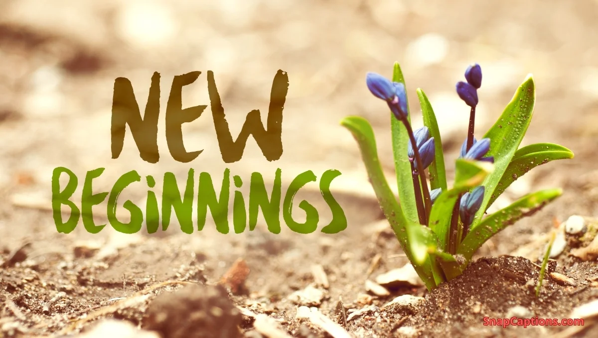 200+ New Beginnings Captions For Instagram to Inspire You