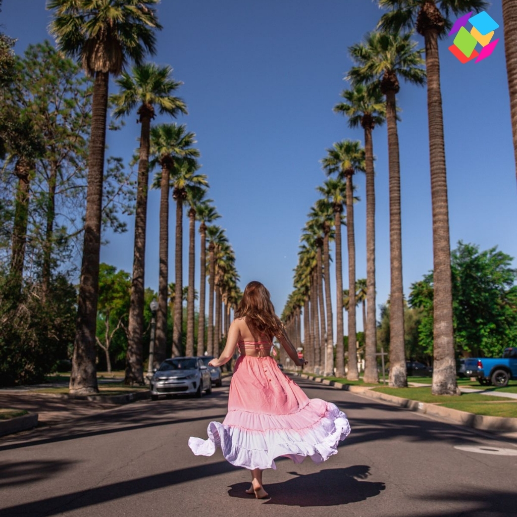 200+ Palm Tree Instagram Captions to Bring the Tropics Home 14 Palm Tree Instagram Captions