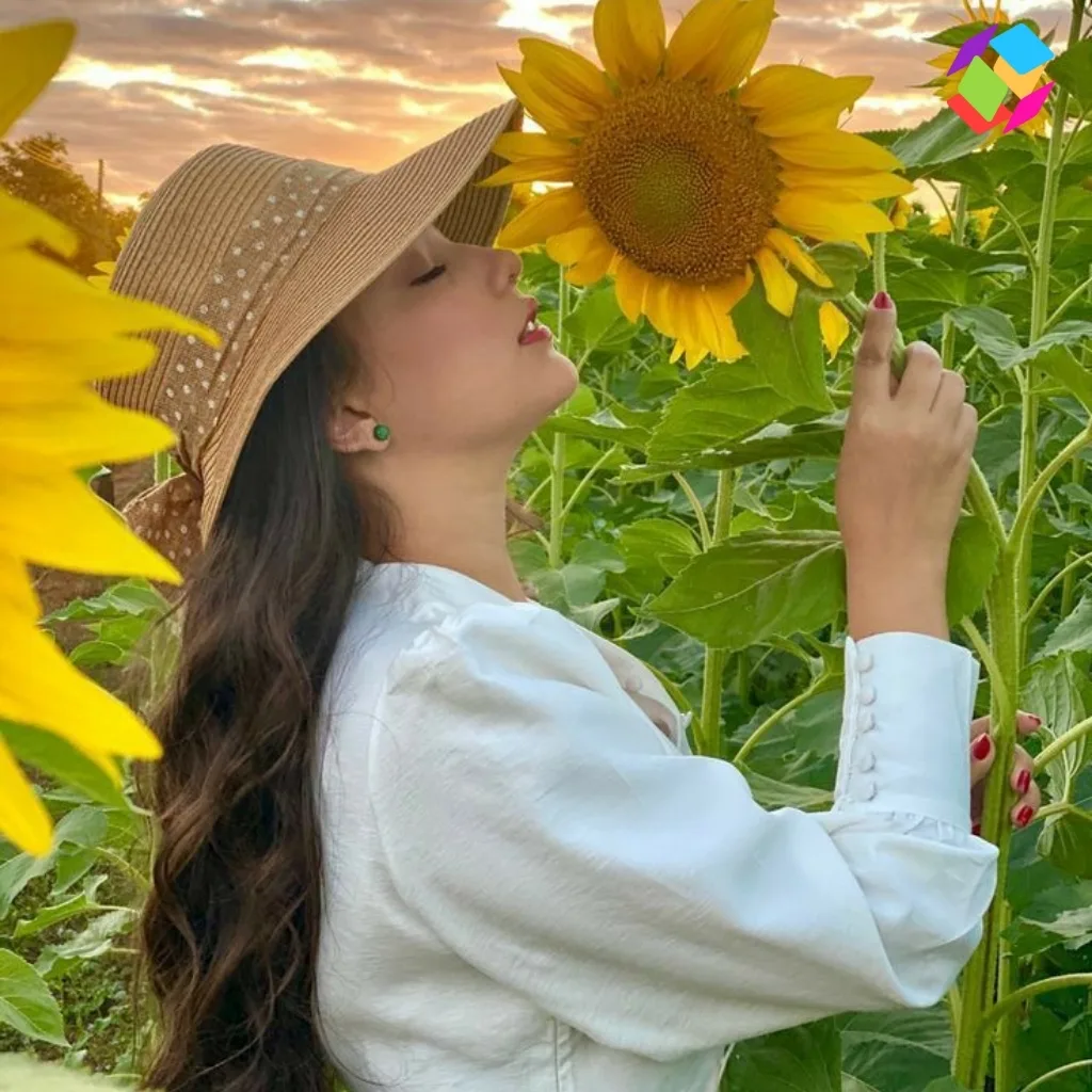 Sunflower Captions For Instagram