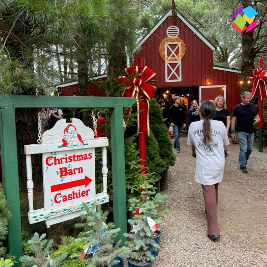 200+ Christmas Tree Farm Instagram Captions for Holiday Cheer and Memories 21 Christmas Tree Farm Instagram Captions