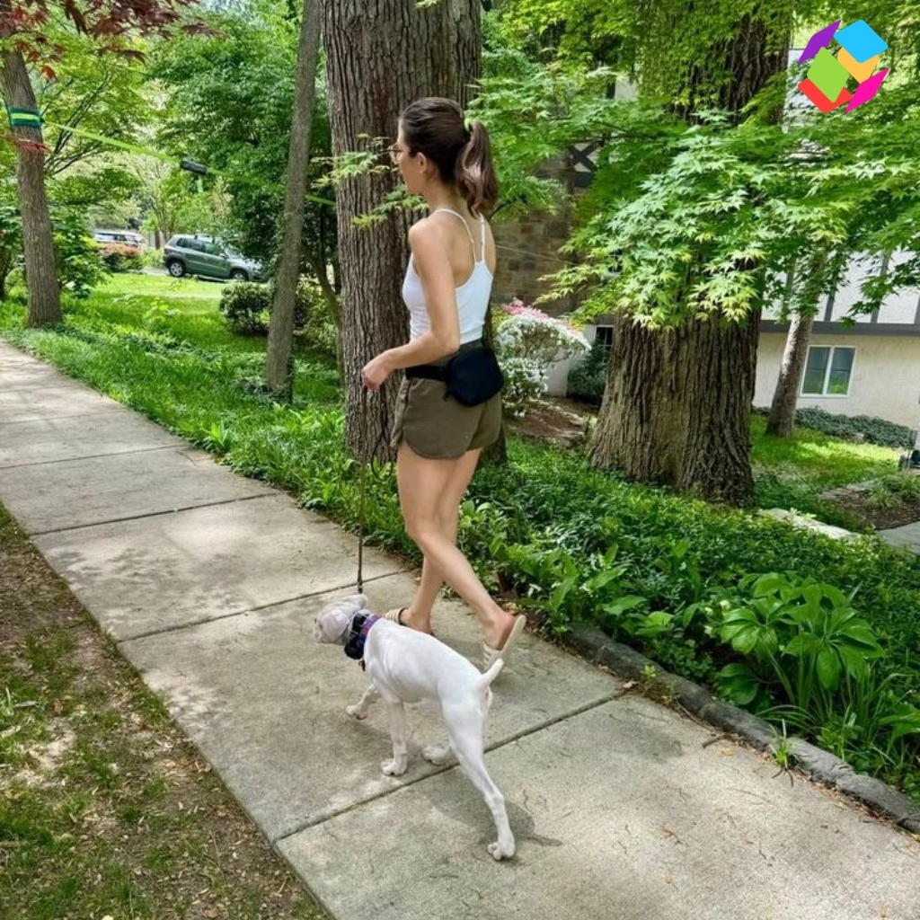 Dog Walk Captions For Instagram