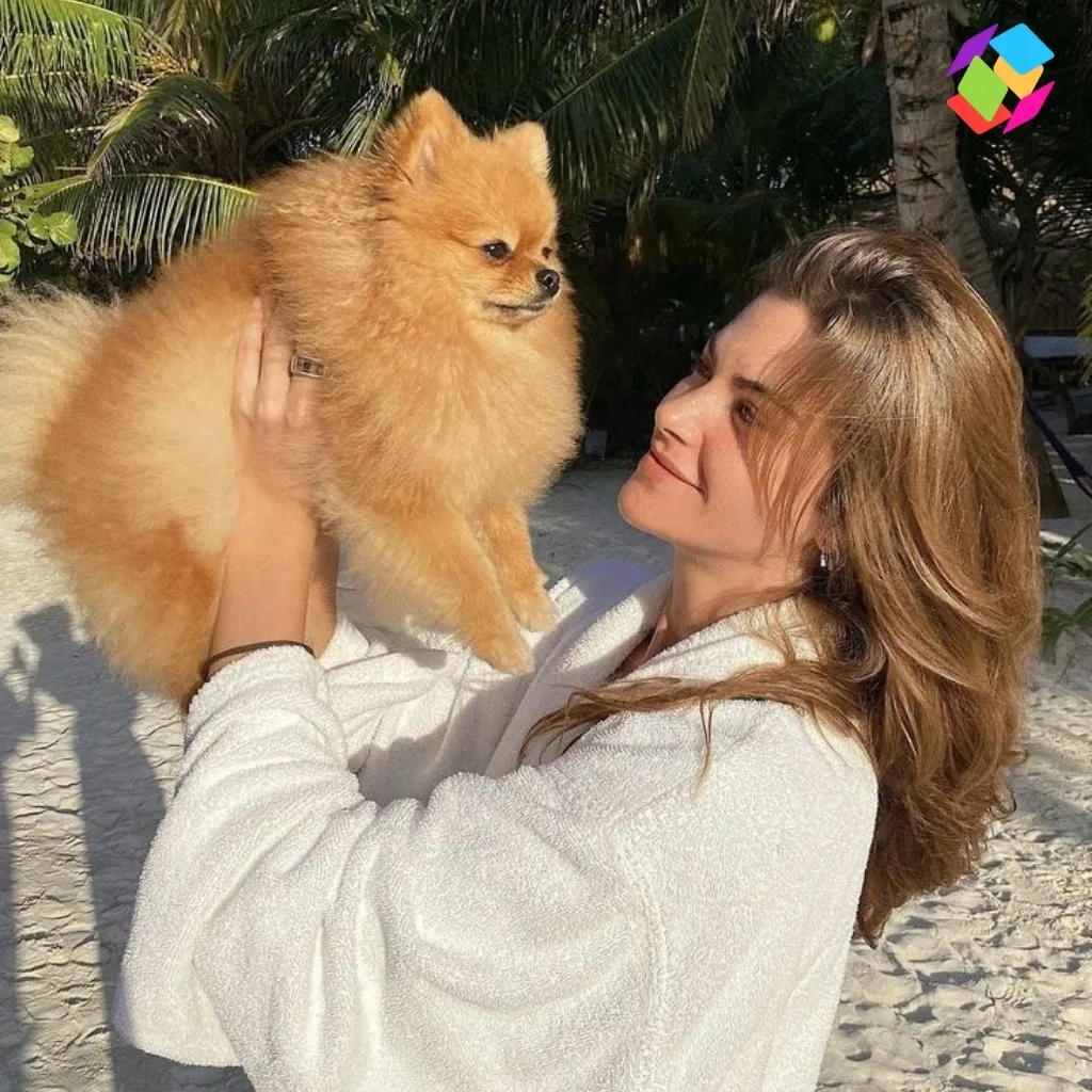 Funny Instagram Captions Dog Captions