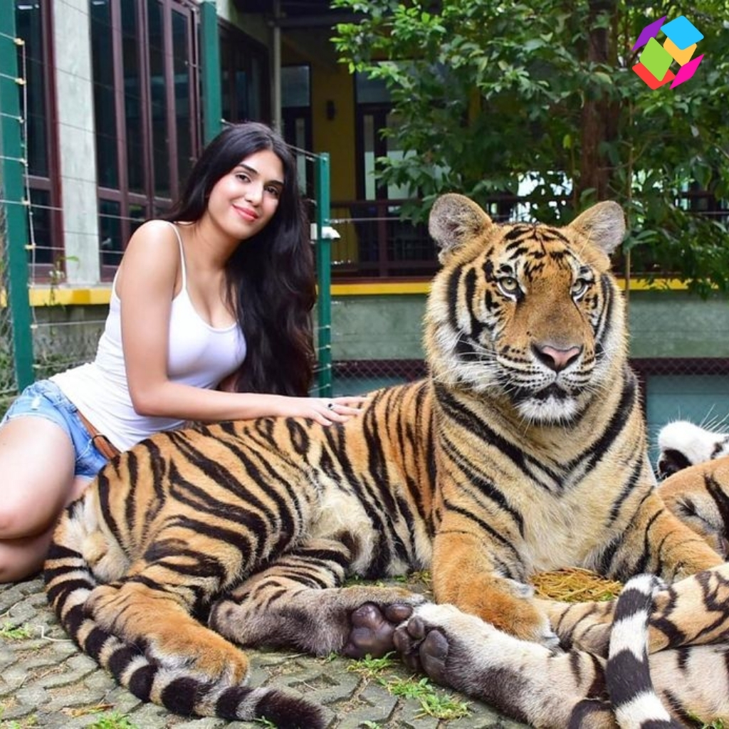 International Tiger Day Captions