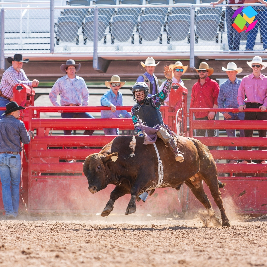 Bull Riding Captions For Instagram