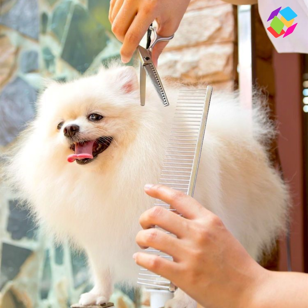 Dog Grooming Instagram Captions