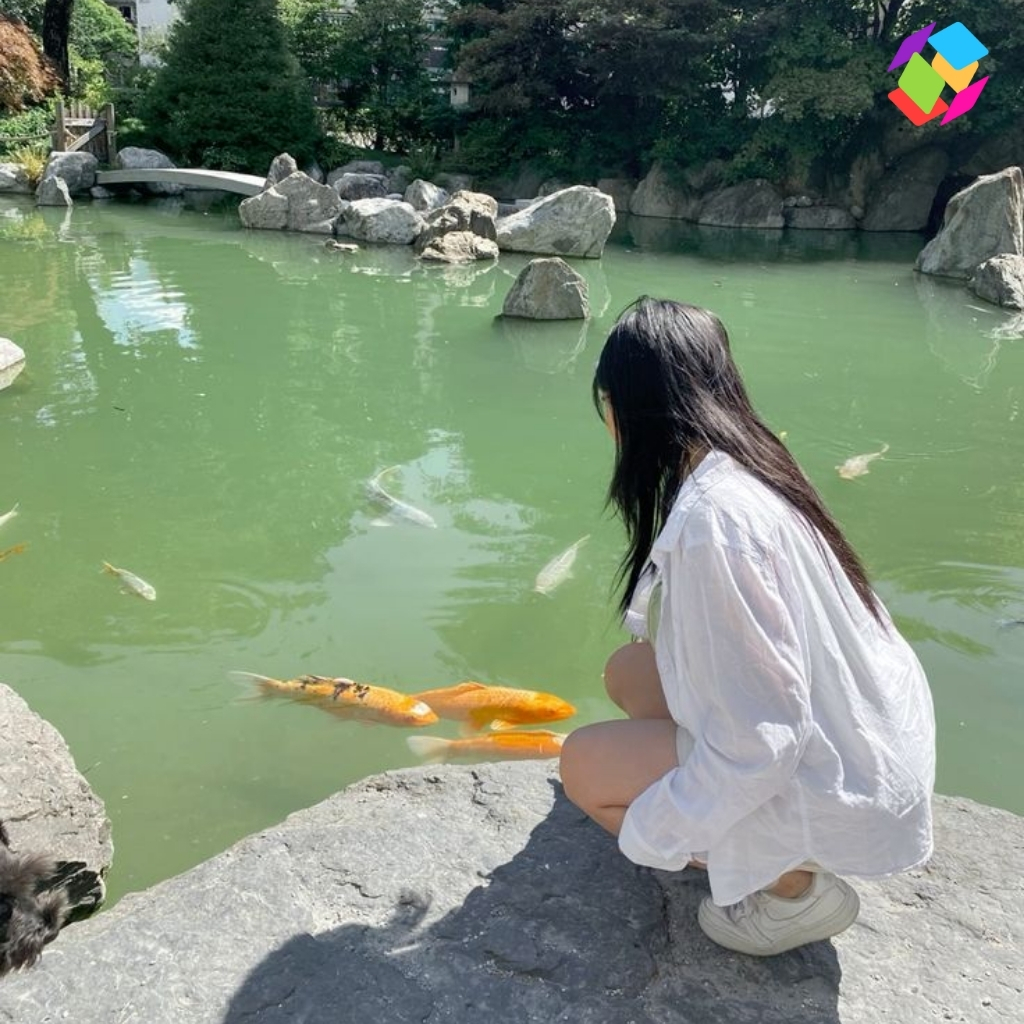 Fish Instagram Captions