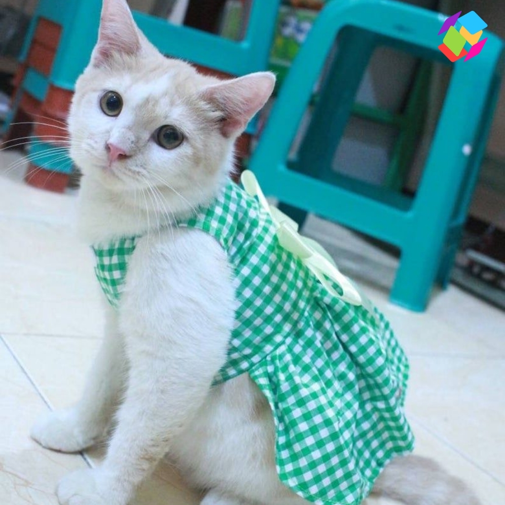 National Dress Up Your Pet Day Captions