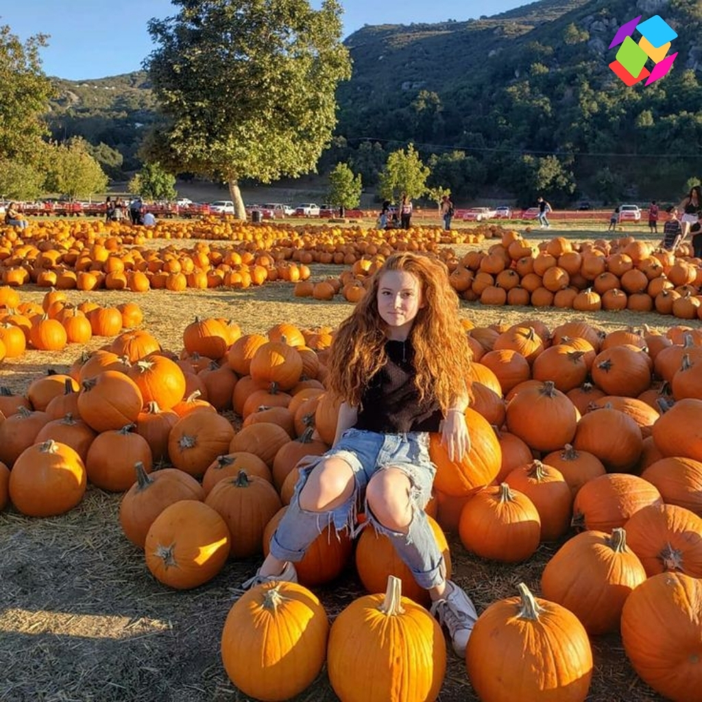 National Pumpkin Day Captions