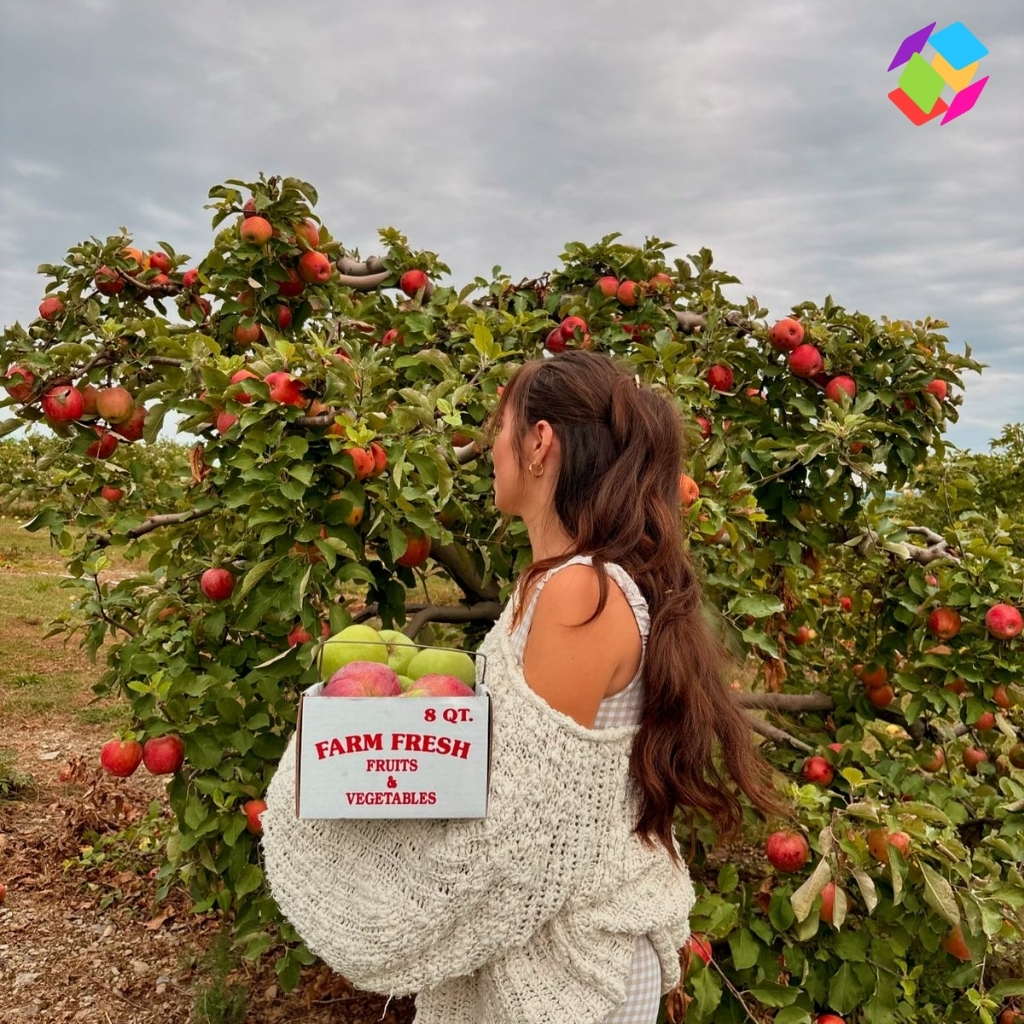 200+ Orchard Instagram Captions for Every Moment 7 Orchard Instagram Captions