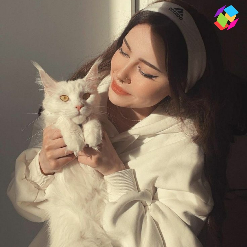 Short Cat Captions For Instagram