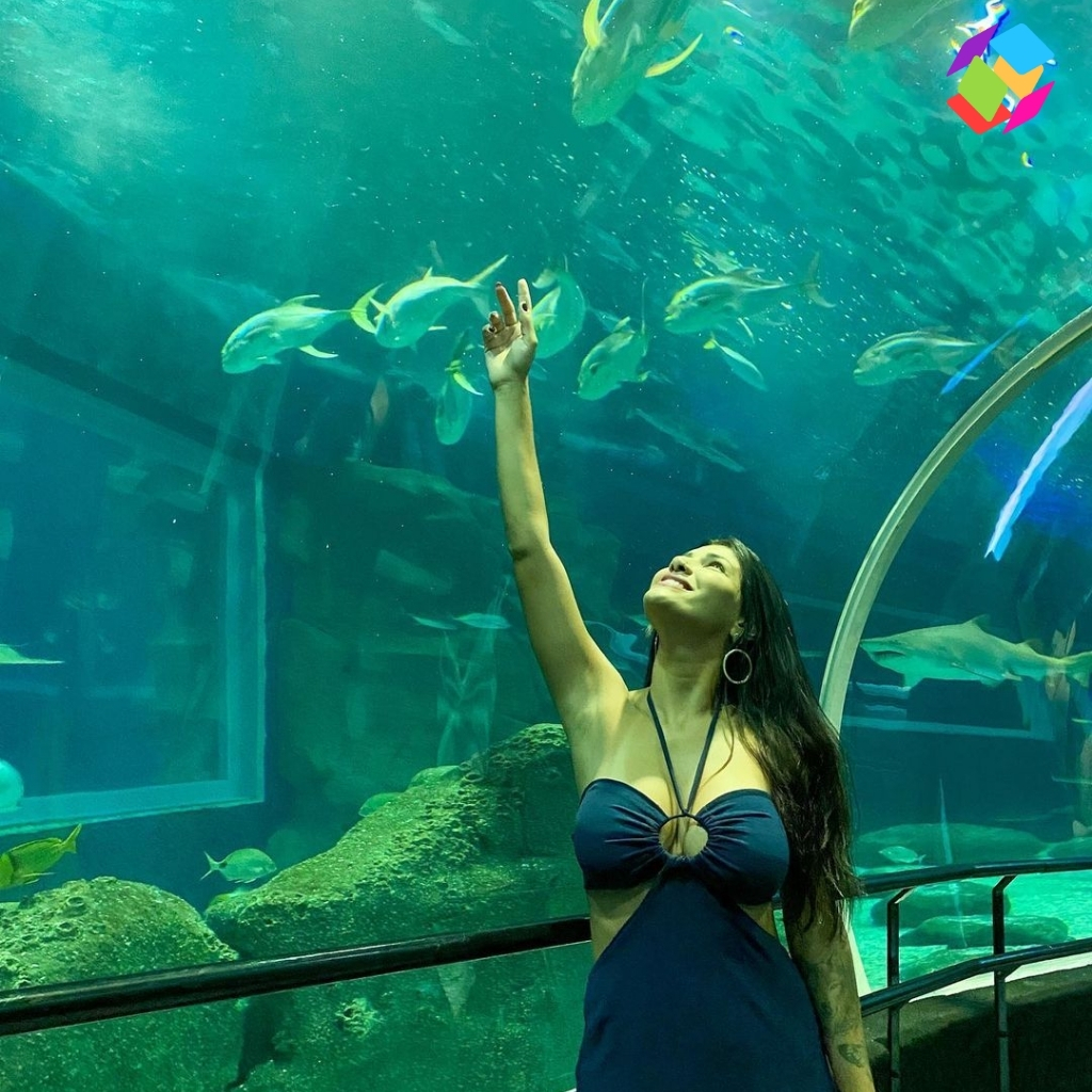 Aquarium Captions For Instagram
