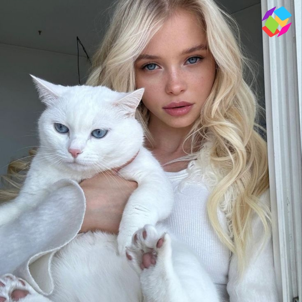 Cat Instagram Captions