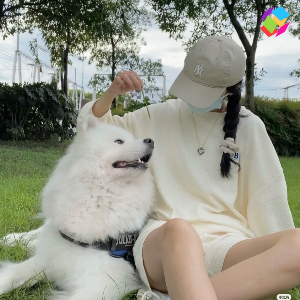 Instagram Captions For Dogs