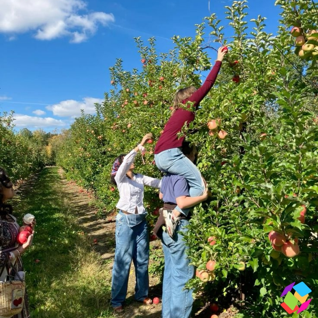 200+ Apple Picking Instagram Captions Family for Memorable Fall Adventures 3 Apple Picking Instagram Captions Family