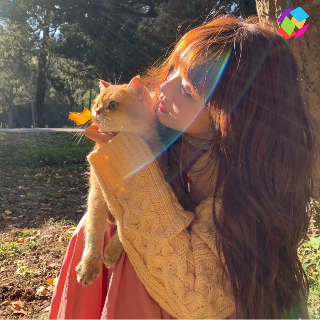 Captions For Cats On Instagram
