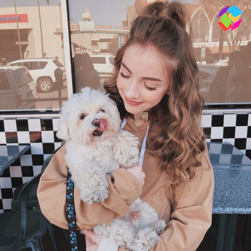 Cute Dog Captions For Instagram