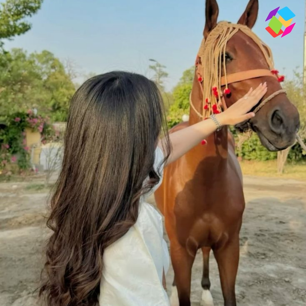 200+ Horse Captions For Instagram In Hindi That Capture Your Passion 19 Horse Captions For Instagram In Hindi