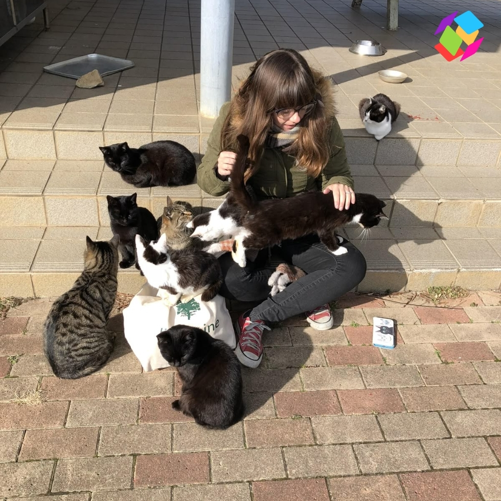 200+ Instagram Captions About Cats That Will Make Your Followers Purr with Delight 4 Instagram Captions About Cats 1
