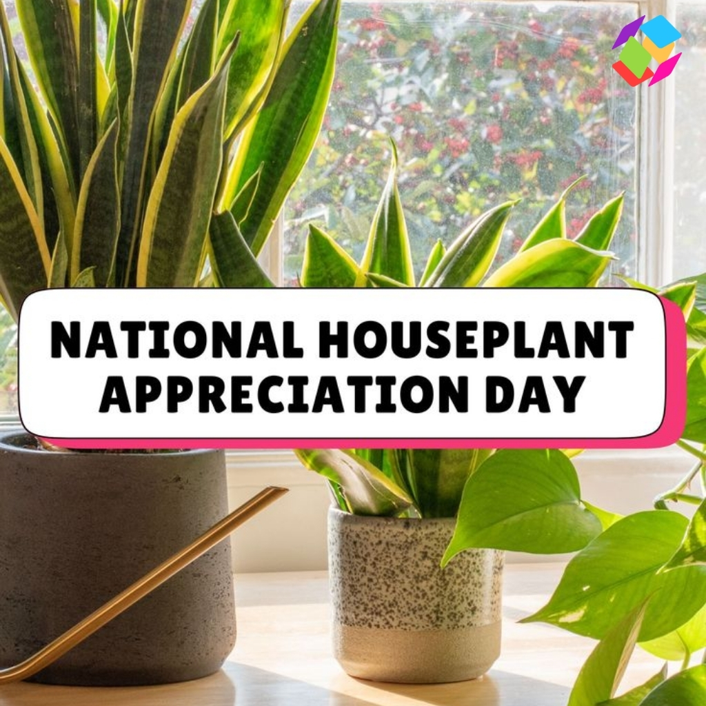 National Houseplant Appreciation Day Captions