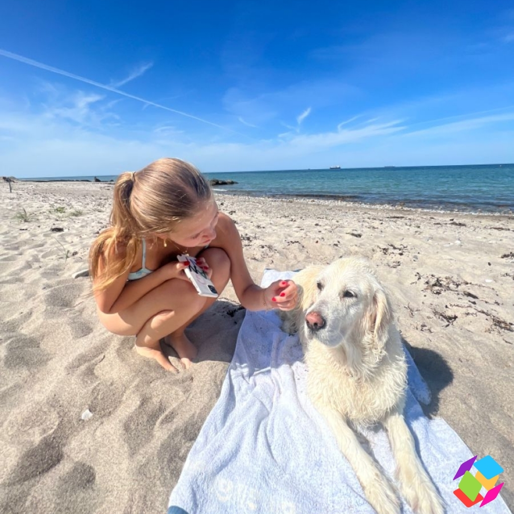 200+ Dog Point Of View Instagram Captions That Will Make You Smile and Wag 15 Dog Point Of View Instagram Captions