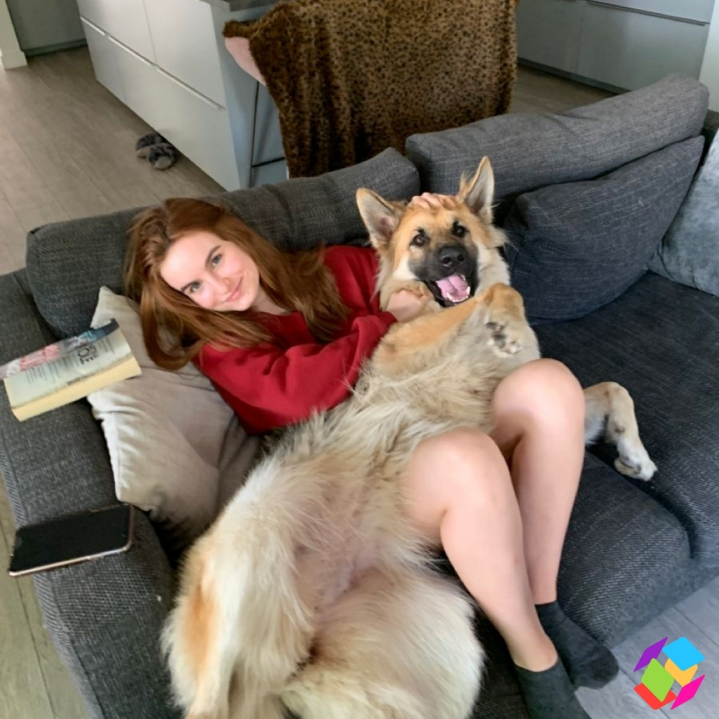 200+ Dogs Love Captions For Instagram That Will Melt Your Heart and Soul 11 Dogs Love Captions For Instagram