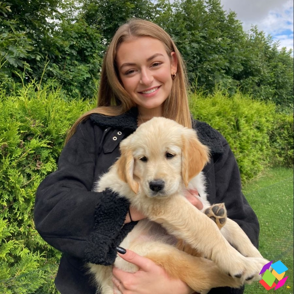 200+ Funny Dog Captions Instagram to Make You Laugh Out Loud Every Time 21 Funny Dog Captions Instagram