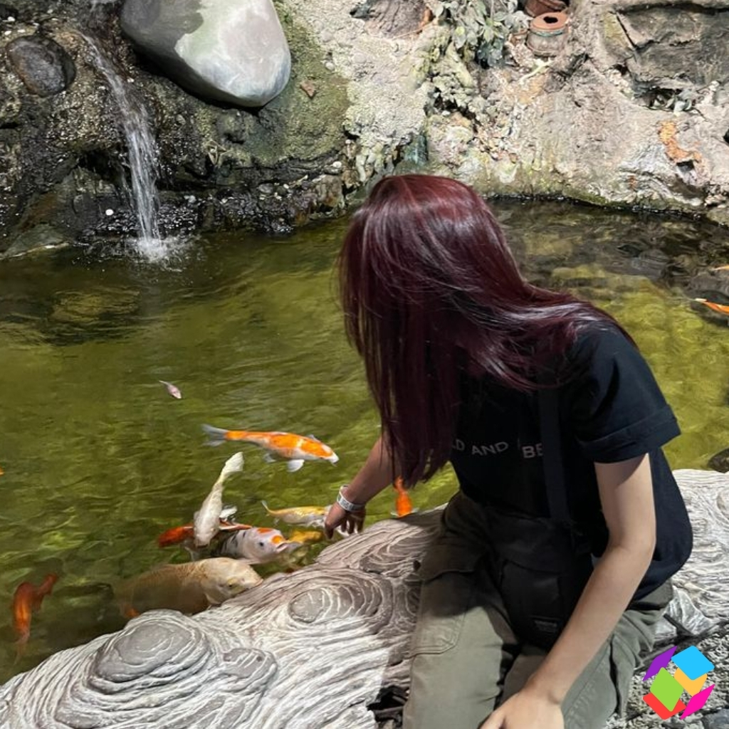 200+ Koi Fish Captions For Instagram That Make a Splash in Your Feed 4 Koi Fish Captions For Instagram