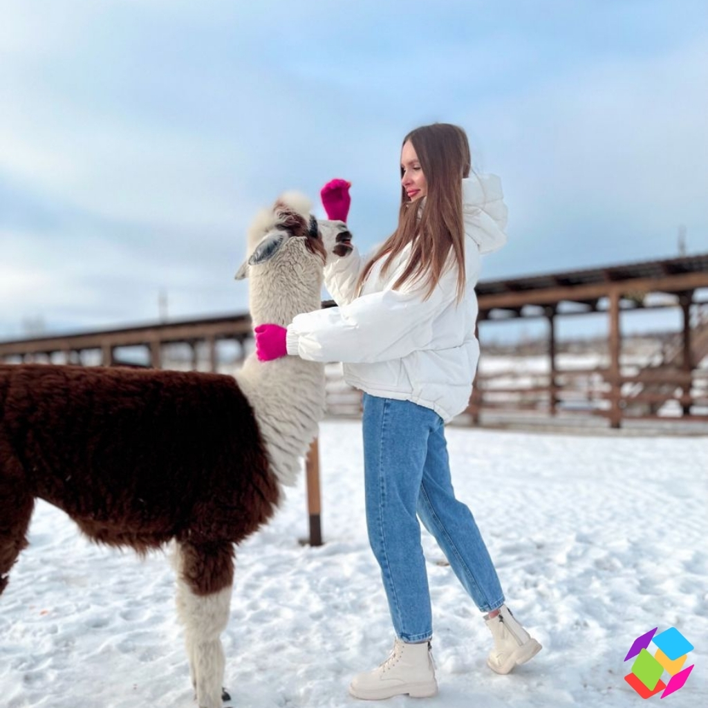 200+ National Llama Day Captions for Fun and Quirky Celebrations 7 National Llama Day Captions